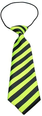 Striped Lime