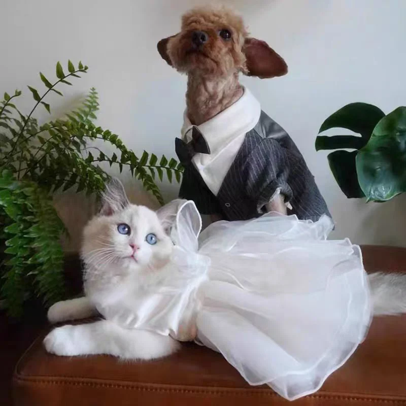 Charming Cat Wedding Gown with Bow