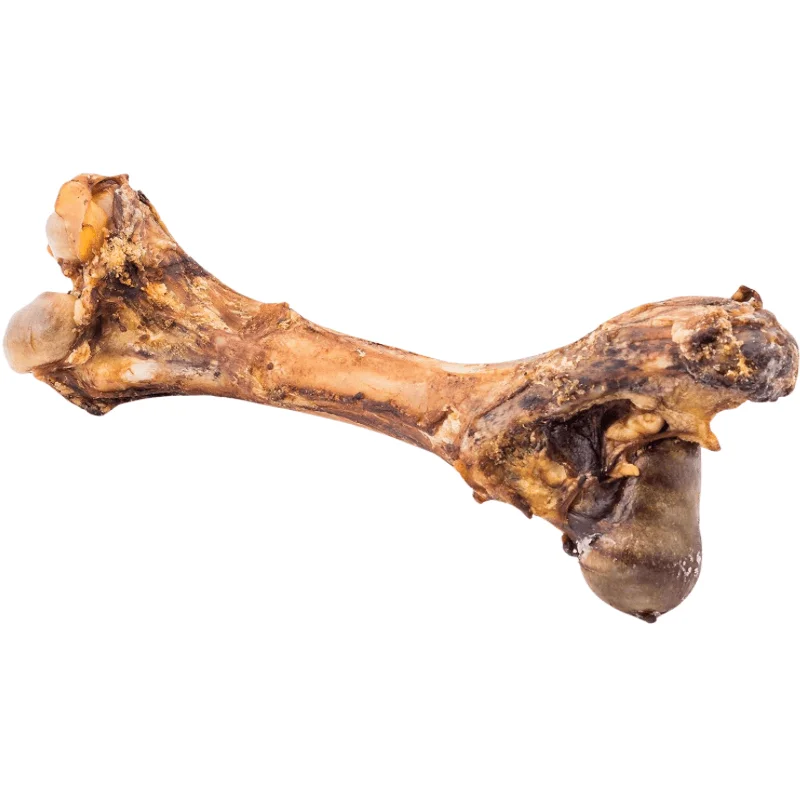 Natural Dog Chews - Giant Femur