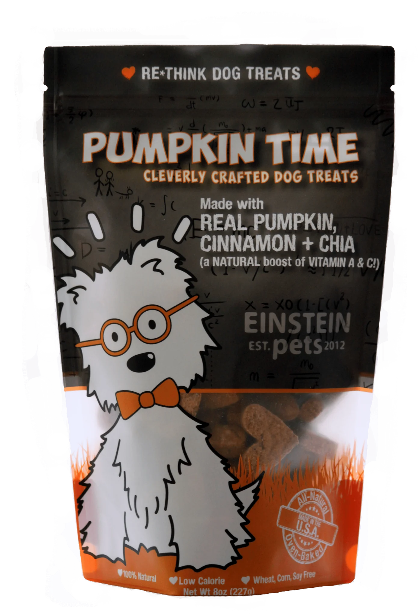 Einstein Pumpkin Time Dog Treats 8oz