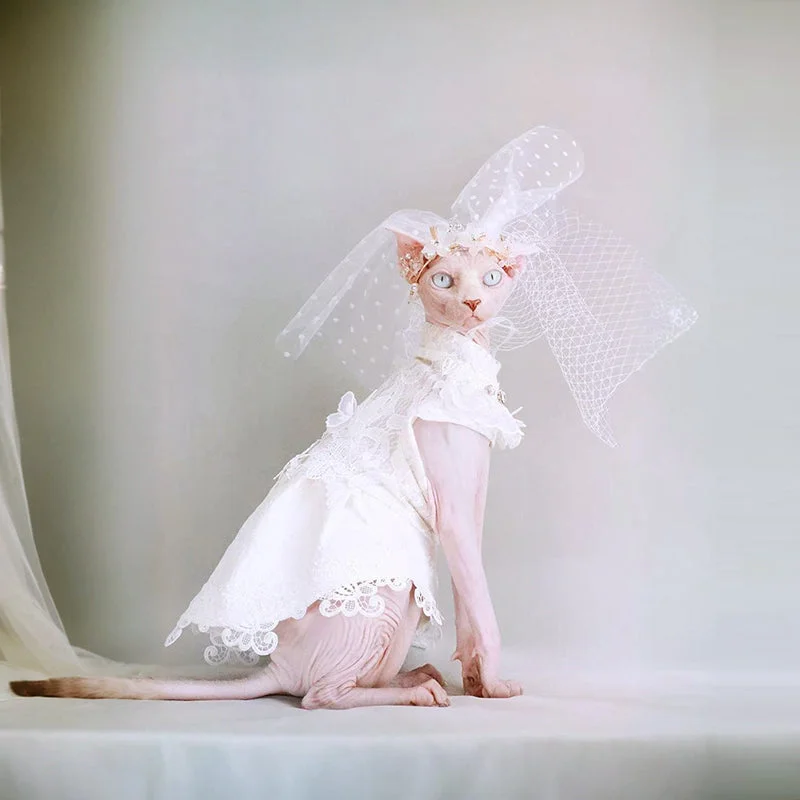 Elegant Cat Wedding Dress with Veil