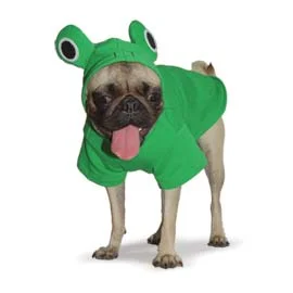 Froggy Sweatshirt