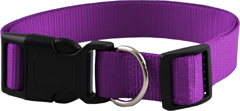 Furwear - Basic Dog Collar (Purple)