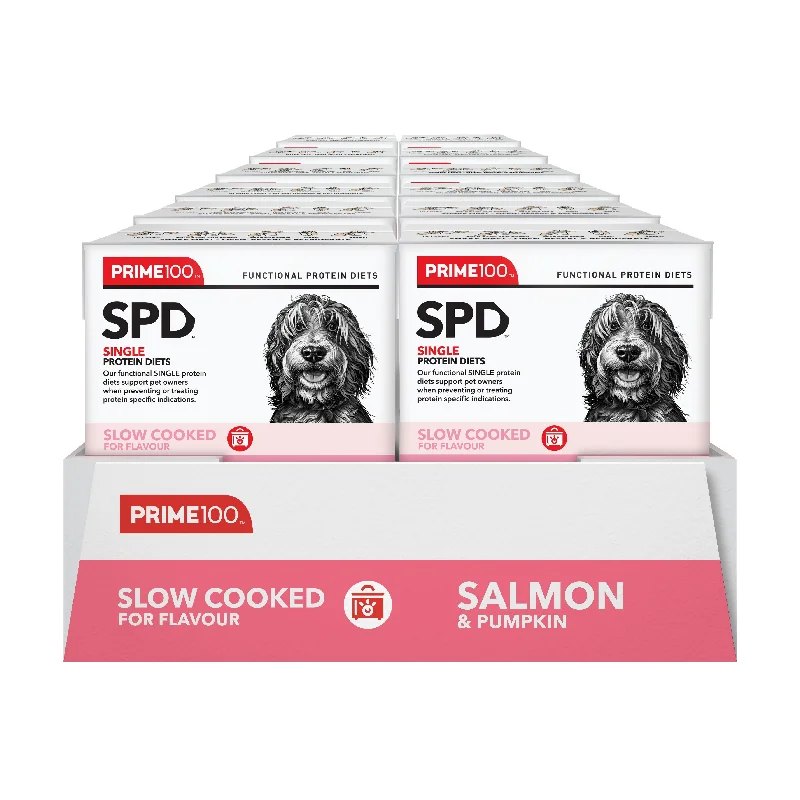 Prime 100 Slow Cooked Salmon and Pumpkin Dog Food 354g x12