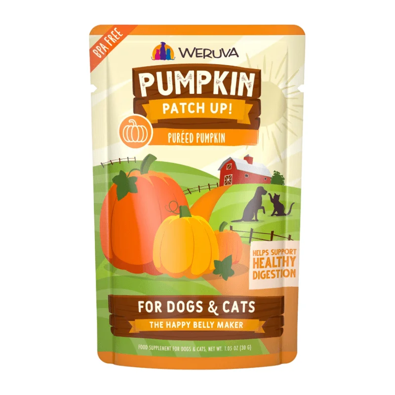 Wet Food Supplement For Dogs & Cats - PUMPKIN PATCH UP! - Puréed Pumpkin