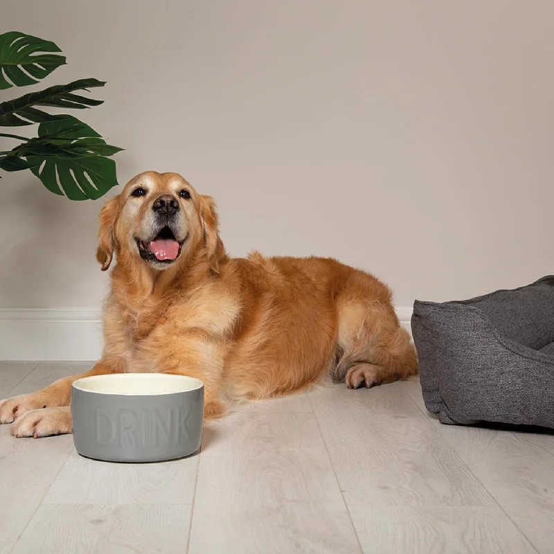 Scruffs Classic Water Bowl