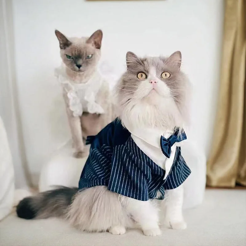 Stylish Cat Wedding Tuxedo