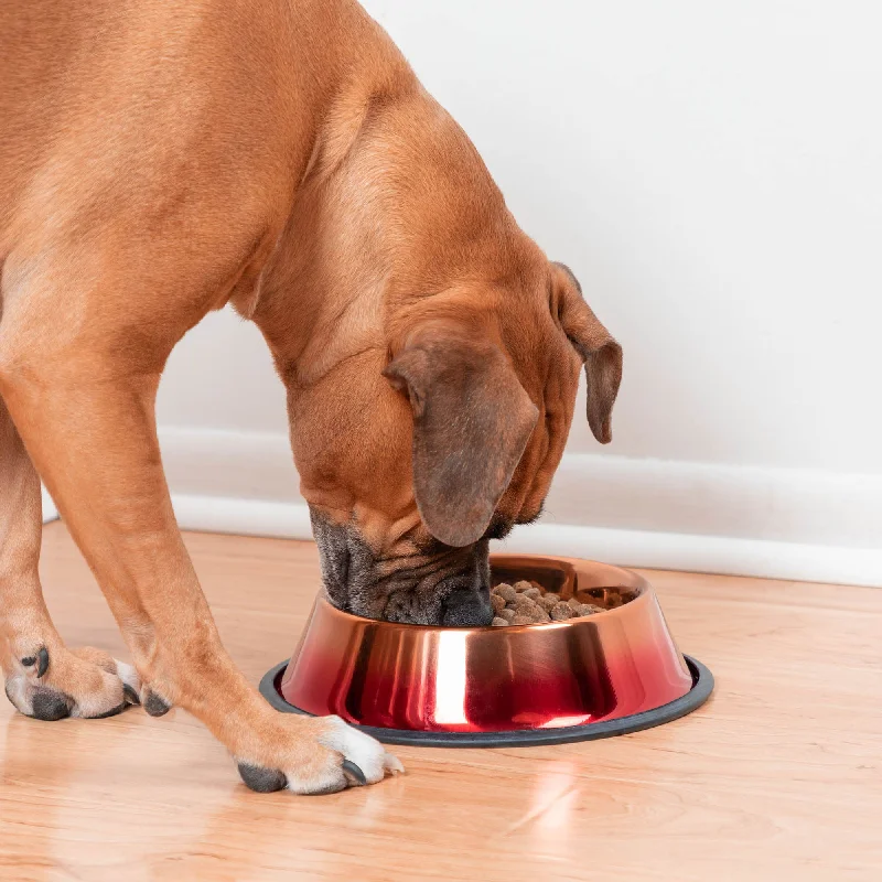 Copper Sunset Ombre Pet Dish