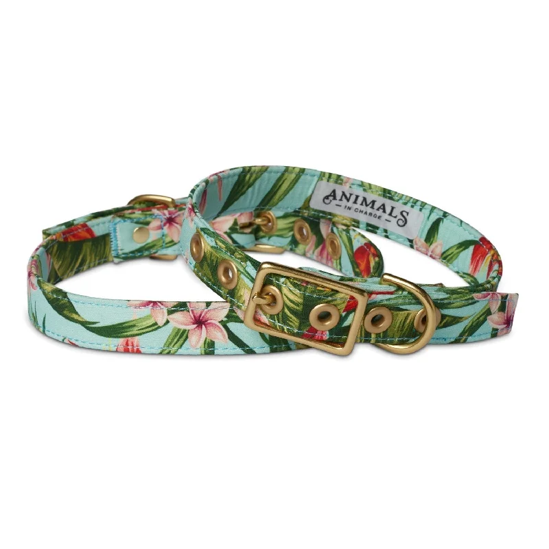 Animals in Charge Cafe Dog Collar Coastal Flower and Brass Extra Large***