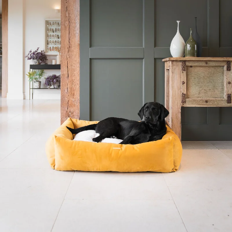 Box Bed With Removable Covers In Saffron Velvet by Lords & Labradors