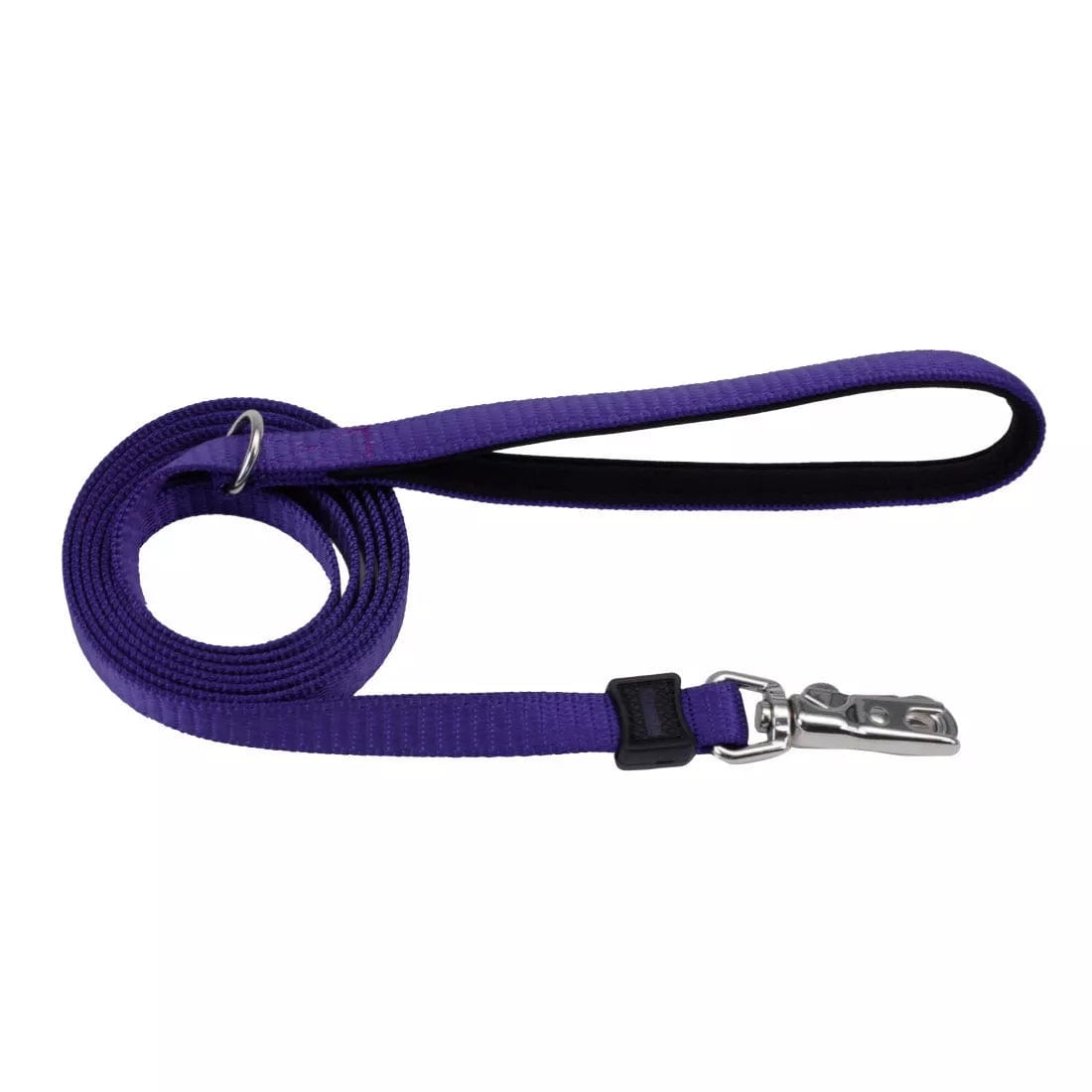 Coastal Pet Products Inspire Dog Leash in Purple