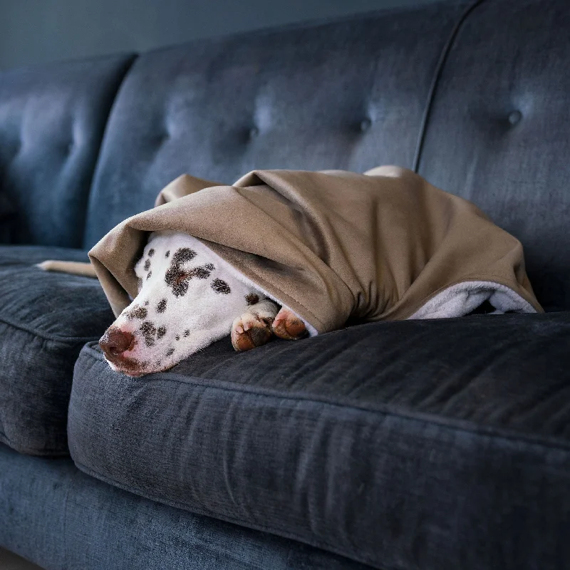 Dog & Puppy Blanket in Clay Velvet by Lords & Labradors