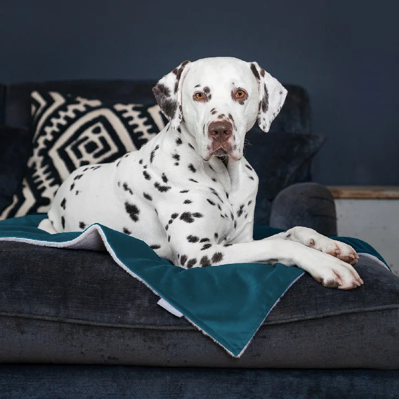 Dog & Puppy Blanket in Marine Velvet by Lords & Labradors