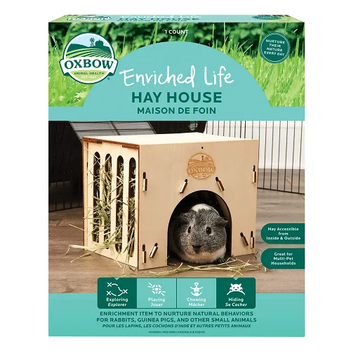 Enriched Life - Hay House