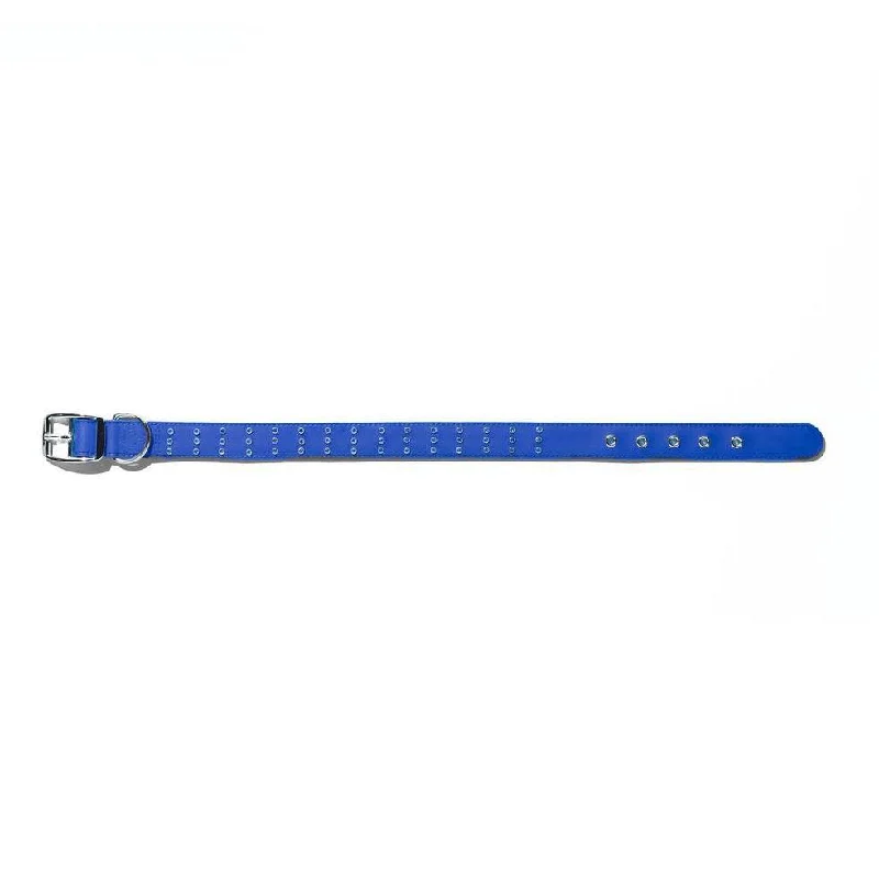 Gummi Bling Large Blue Dog Collar***