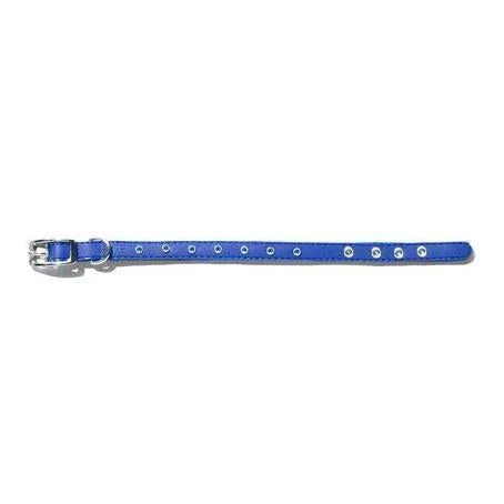 Gummi Bling Puppy Blue Dog Collar***