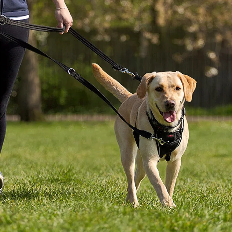 Halti Training Dog Lead - Black