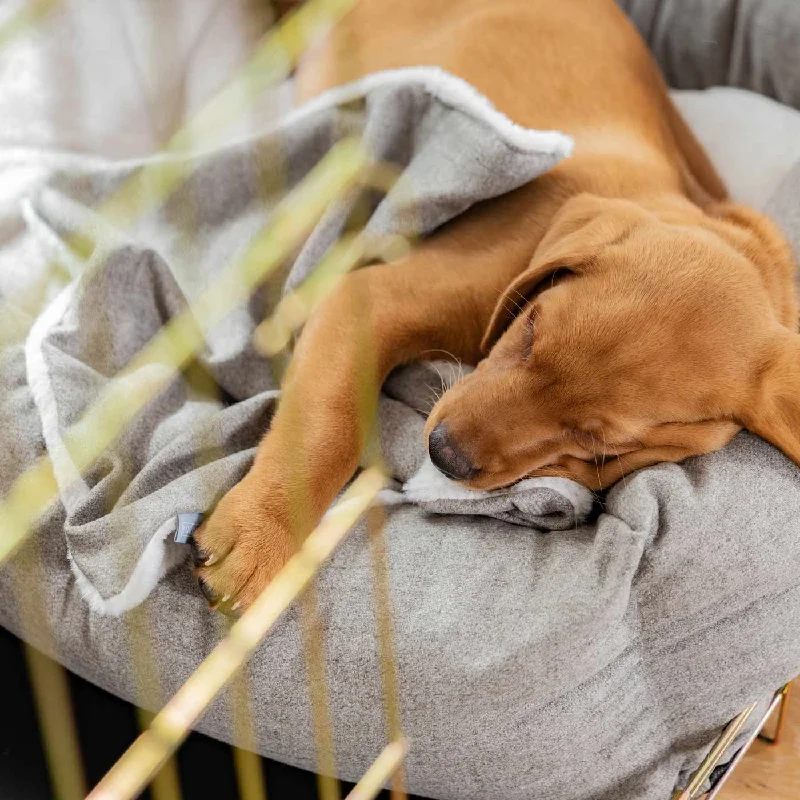 Puppy Scent Blanket in Inchmurrin Ground by Lords & Labradors