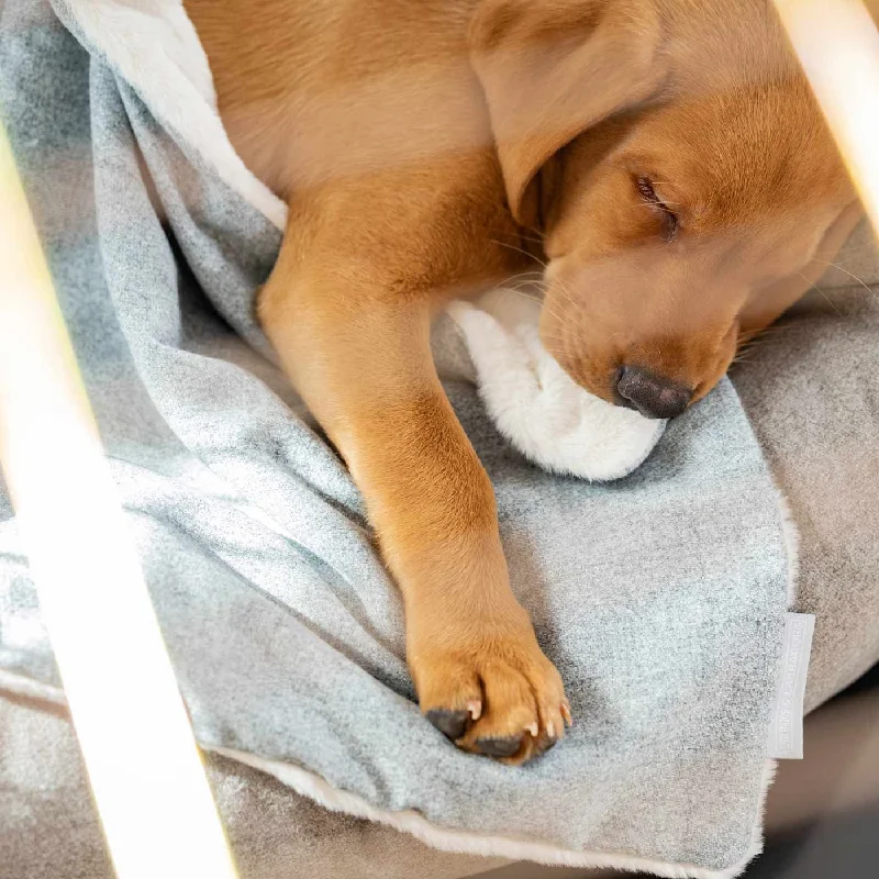 Puppy Scent Blanket in Inchmurrin Iceberg by Lords & Labradors