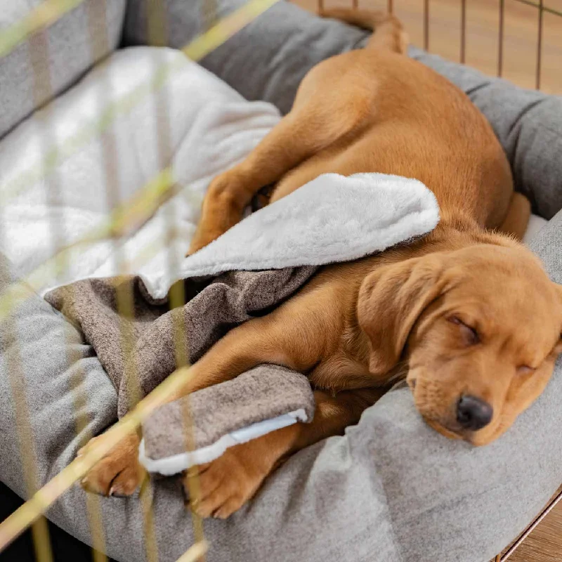 Puppy Scent Blanket in Inchmurrin Umber by Lords & Labradors