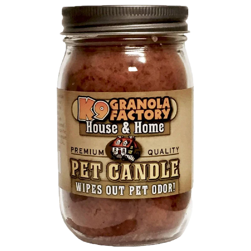 K9 Granola Factory Odor Eliminator Candle, Stinky Dog