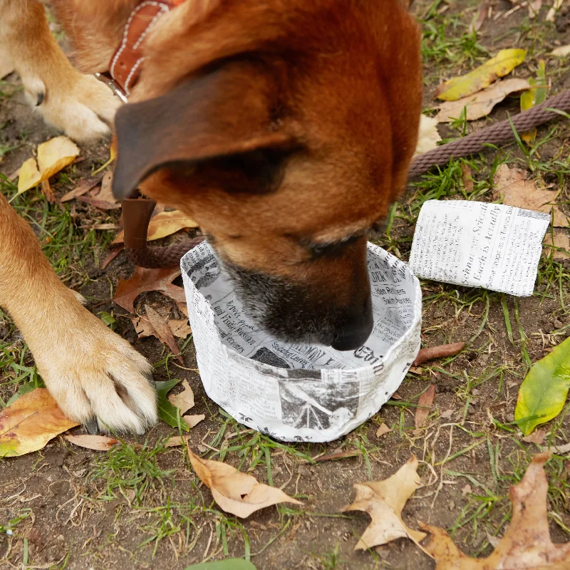 Kikkerland Design Inc - Folding News Dog Water Bowl