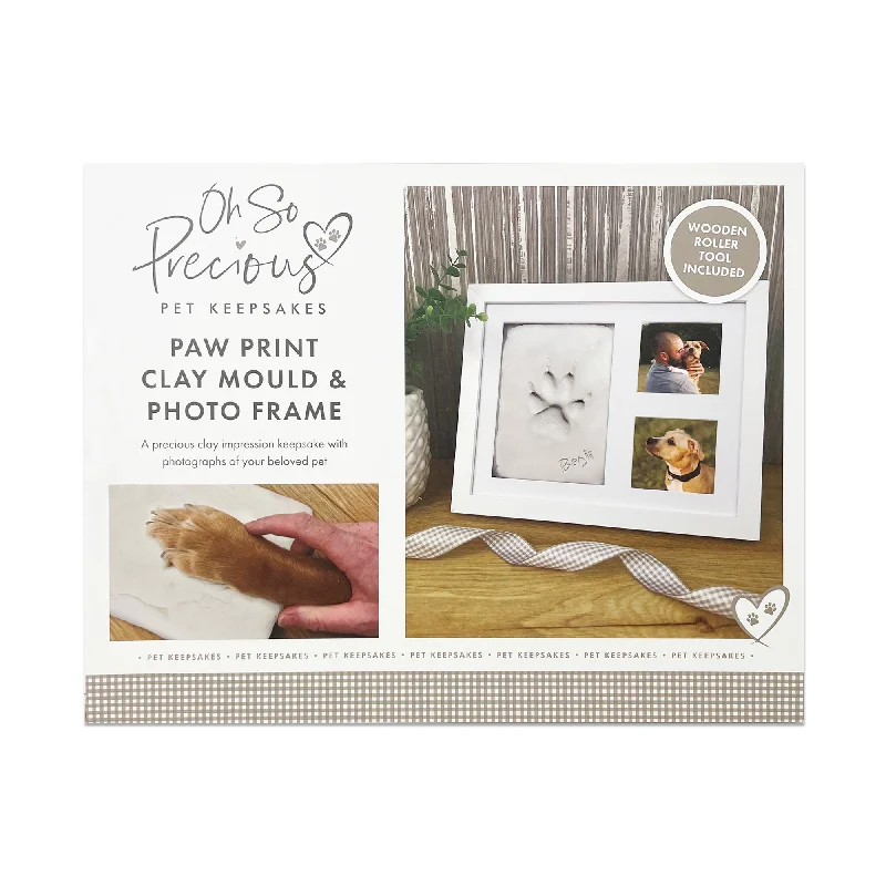 Oh So Precious Paw Print Clay Mould & Photo Frame