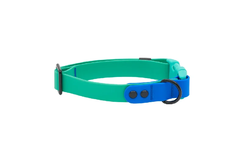 RC Pets Waterproof Collar for Dogs in Parakeet & Sapphire