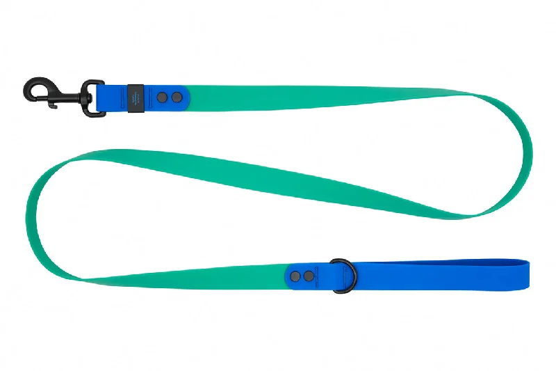 RC Pets Waterproof Leash for Dogs in Parakeet & Sapphire