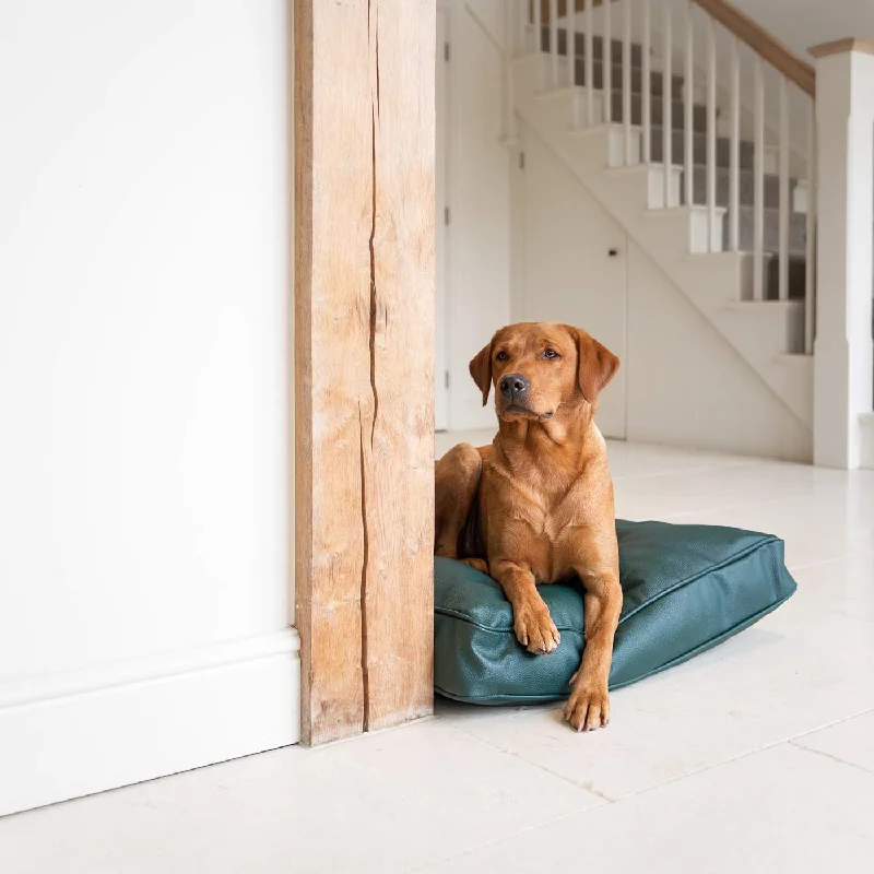 Dog Cushion With Removable Cover in Rhino Tough Forest Faux Leather by Lords & Labradors