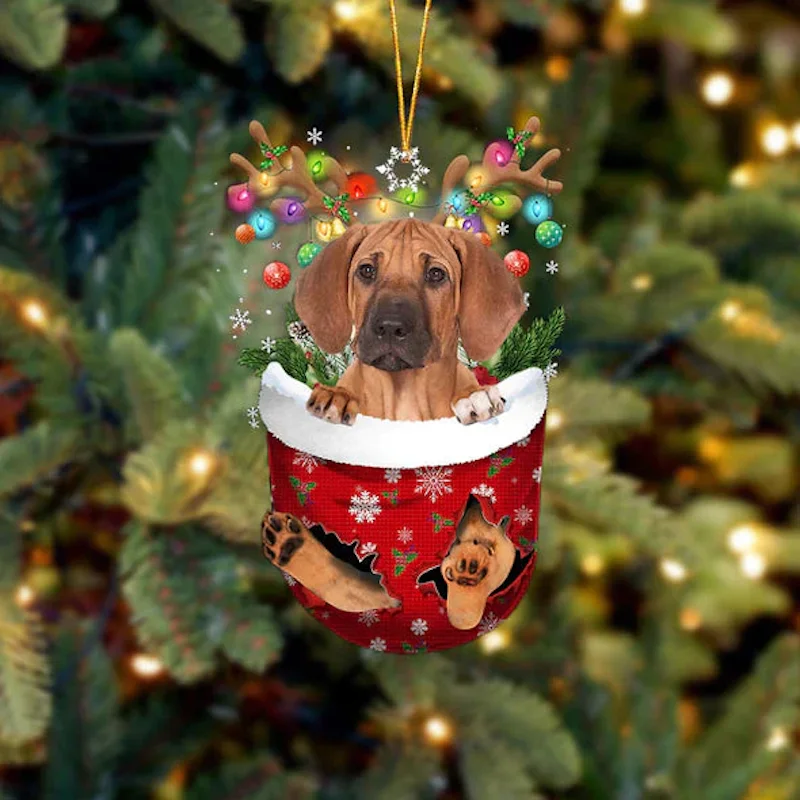 Rhodesian Ridgeback In Snow Pocket Christmas Ornament SP098