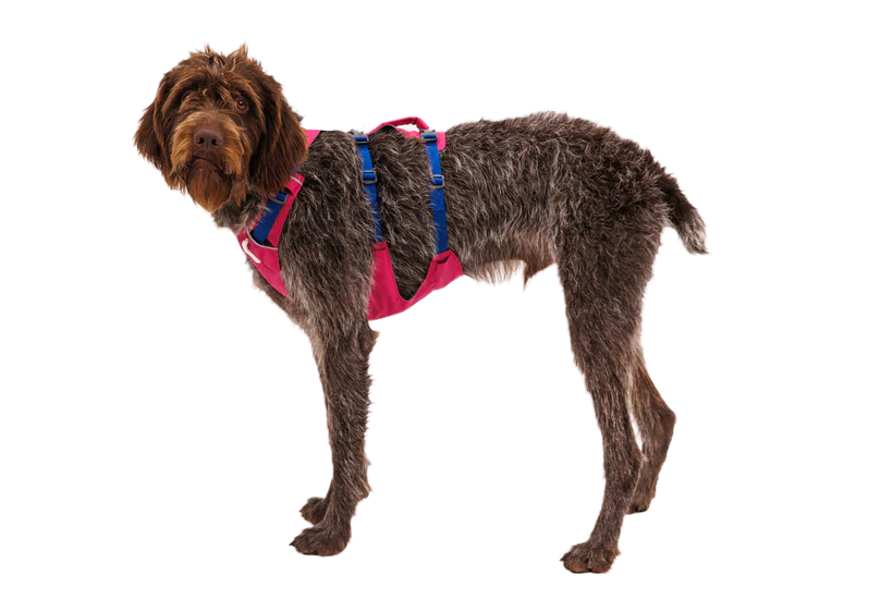 Ruffwear Flagline Harness