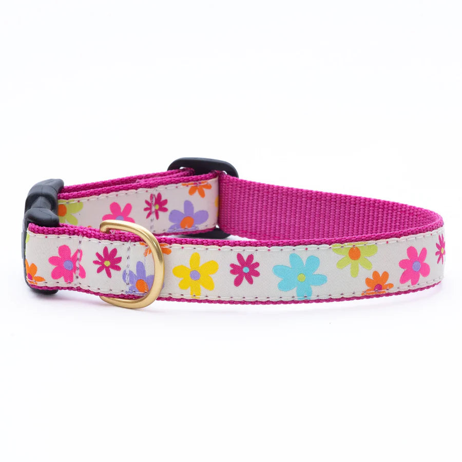 Spring Fever Dog Collar